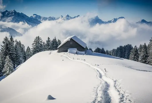 1688504741246100.png image.png