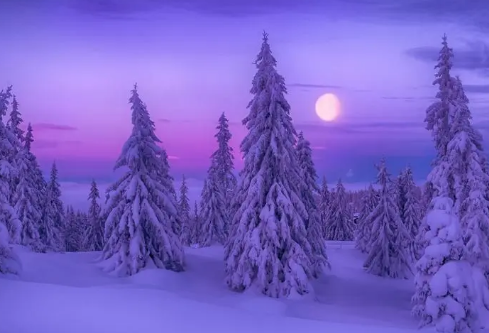 1688504907923015.png image.png