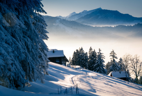 1688505405732924.png image.png