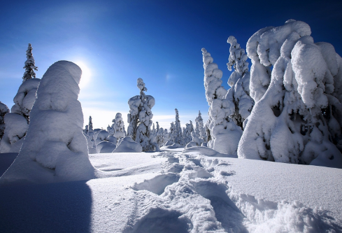 1688505571942537.png image.png