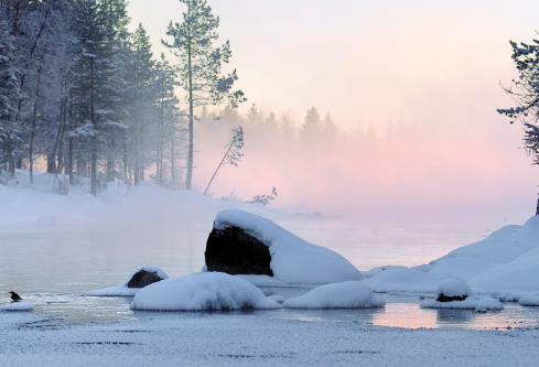 1688505736774888.png image.png