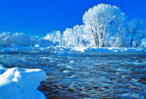 1688510877736269.png image.png