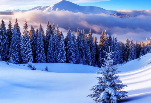 1688511706172191.png image.png