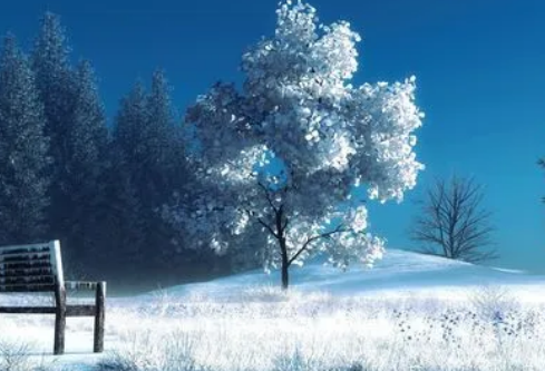 1688512204882310.png image.png