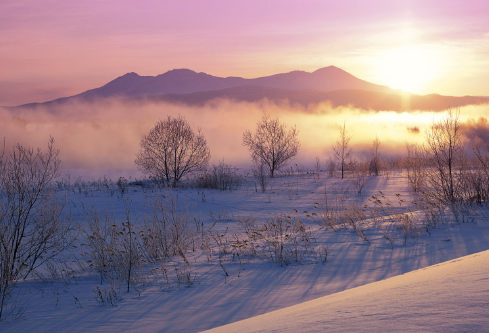 1688512702382455.png image.png