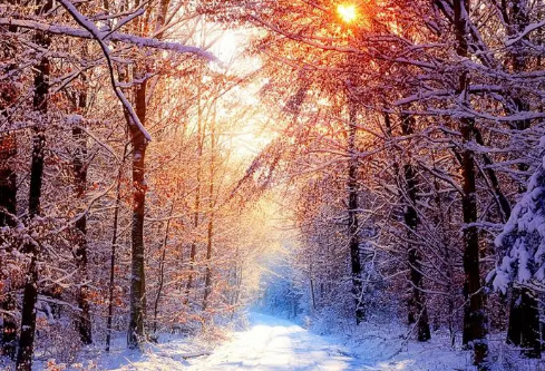 1688513034373351.png image.png