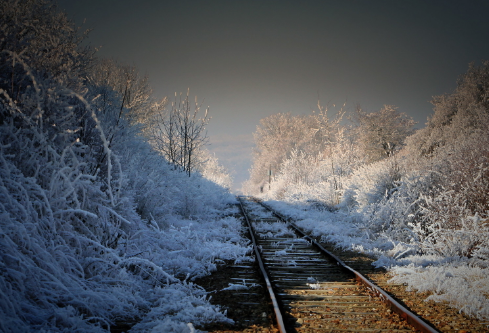 1688513531953644.png image.png