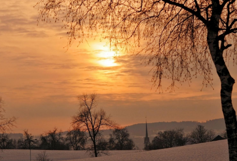 1688520829528764.png image.png