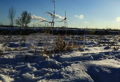 1688520995113185.png image.png