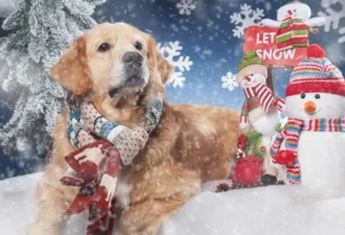 1688524311961312.png image.png