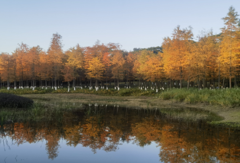 1688525472434932.png image.png