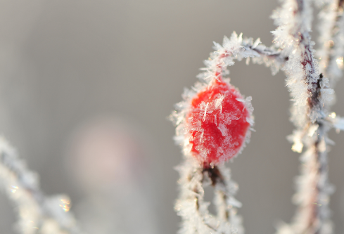 1688526964493782.png image.png