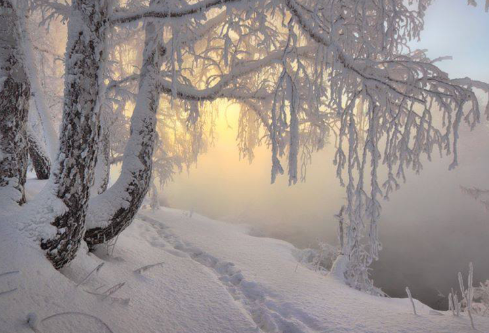 1688527130682641.png image.png