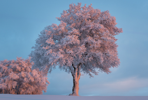 1688640542127211.png image.png