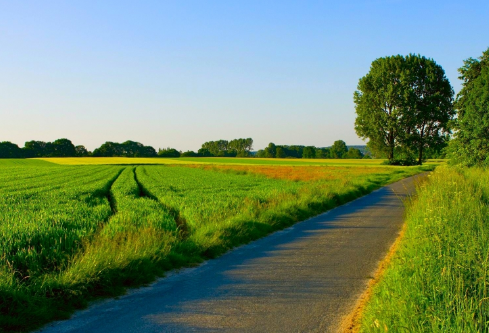 1688646216418233.png image.png