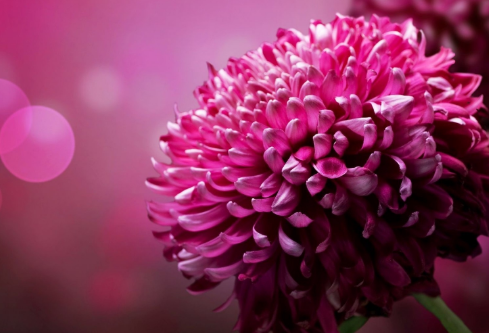 1688646731714310.png image.png