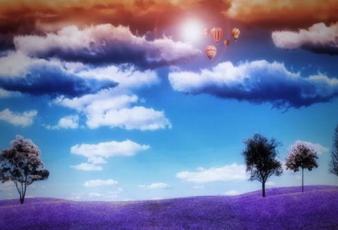 1688646903535806.png image.png