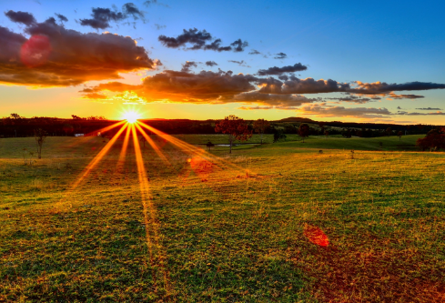 1688647418362052.png image.png