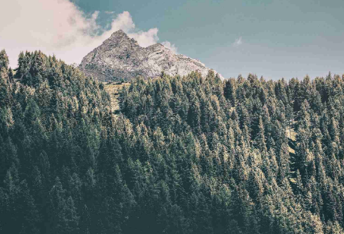 1688662391269611.png image.png