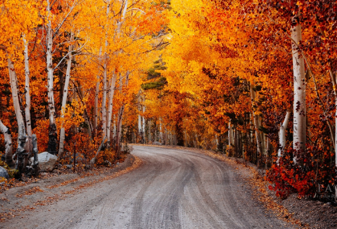 1688663079925913.png image.png