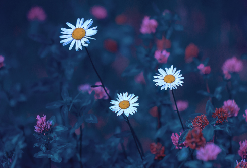 1688663422903778.png image.png