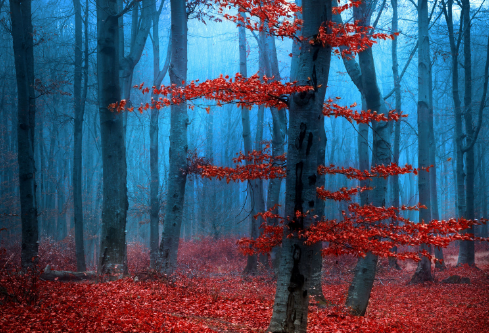 1688664281983375.png image.png