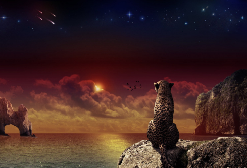 1688664452748013.png image.png