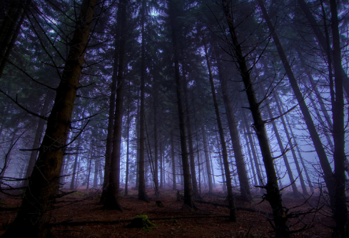 1688664624550223.png image.png