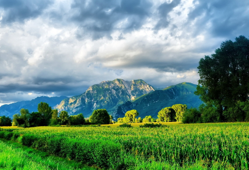 1688664796168297.png image.png