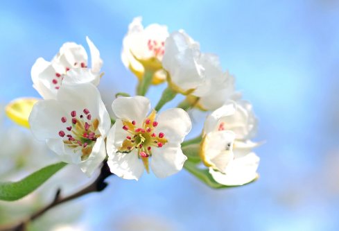 1688677851364799.png image.png