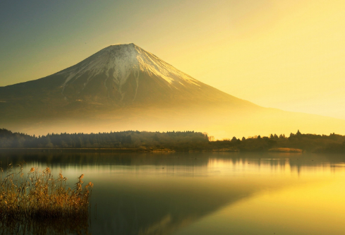 1688678710907921.png image.png