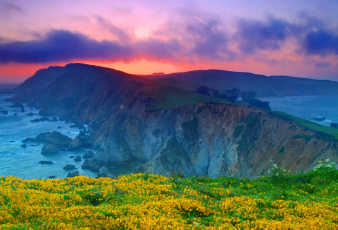 1688688847266797.png image.png