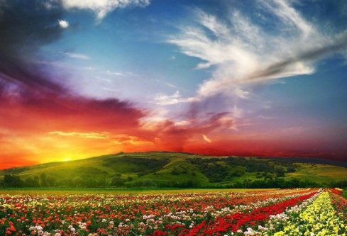 1688690394379555.png image.png