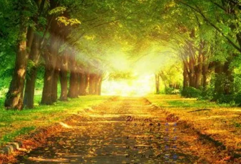 1688705500878643.png image.png