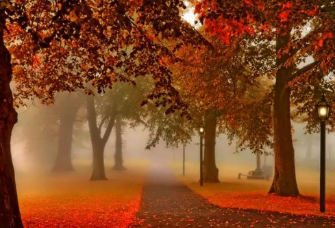 1688706015987882.png image.png