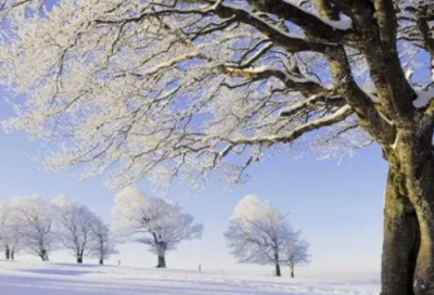 ​闺蜜的儿子结婚祝福语-52句