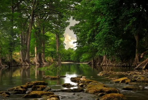 1688710991712661.png image.png