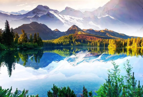 1688713909826980.png image.png