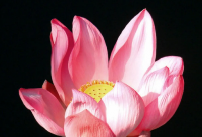 ​30岁生日祝福语-56句