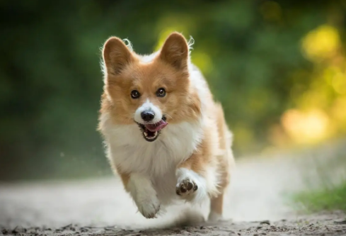 1688715797241931.png image.png