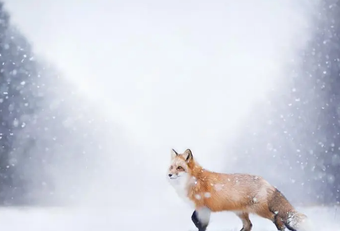 1688716311640862.png image.png