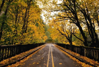 ​儿子结婚妈妈的祝福语-54句