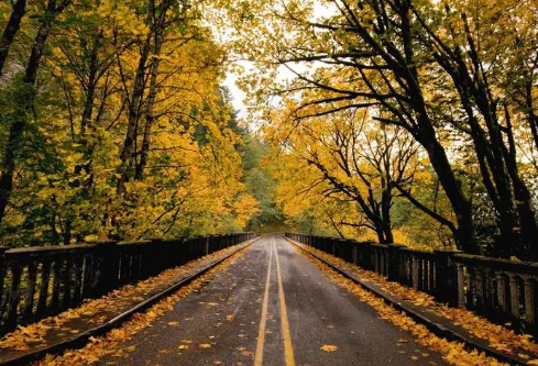 1688716483317018.png image.png