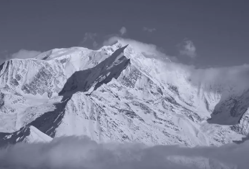 1688718028300125.png image.png