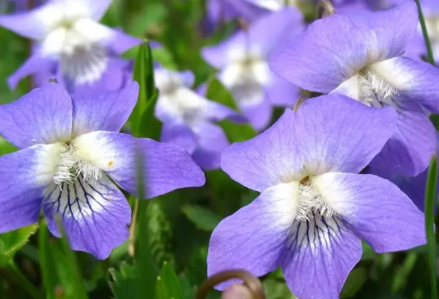 1688719573615720.png image.png