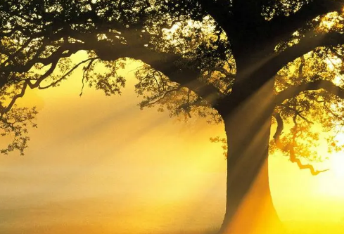 1688719917588971.png image.png