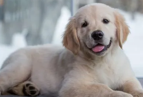 1688720432182102.png image.png