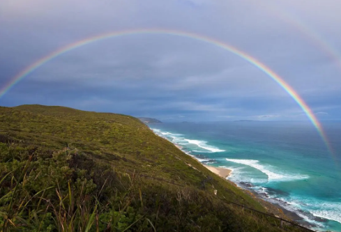 1688721804233976.png image.png