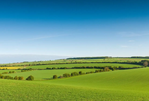 1688734335768387.png image.png