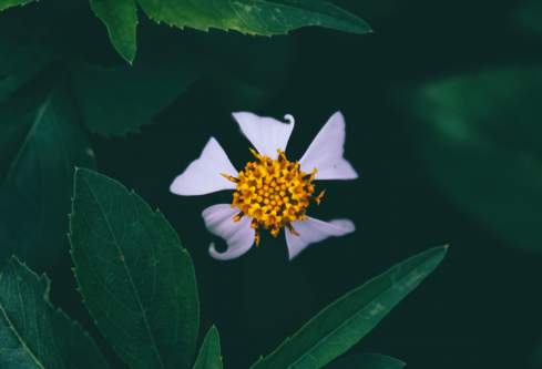 1688734850169260.png image.png